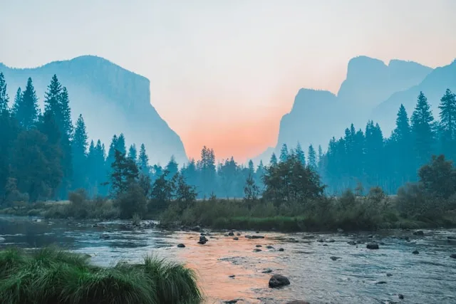 Reference image on freeform canvas